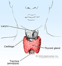 Septoplasty And The Voice - Does Septum Surgery Change Your Voice medicinenet Deviated Septum - Septoplasty And The Voice
