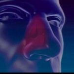 Statics About Sinusitis