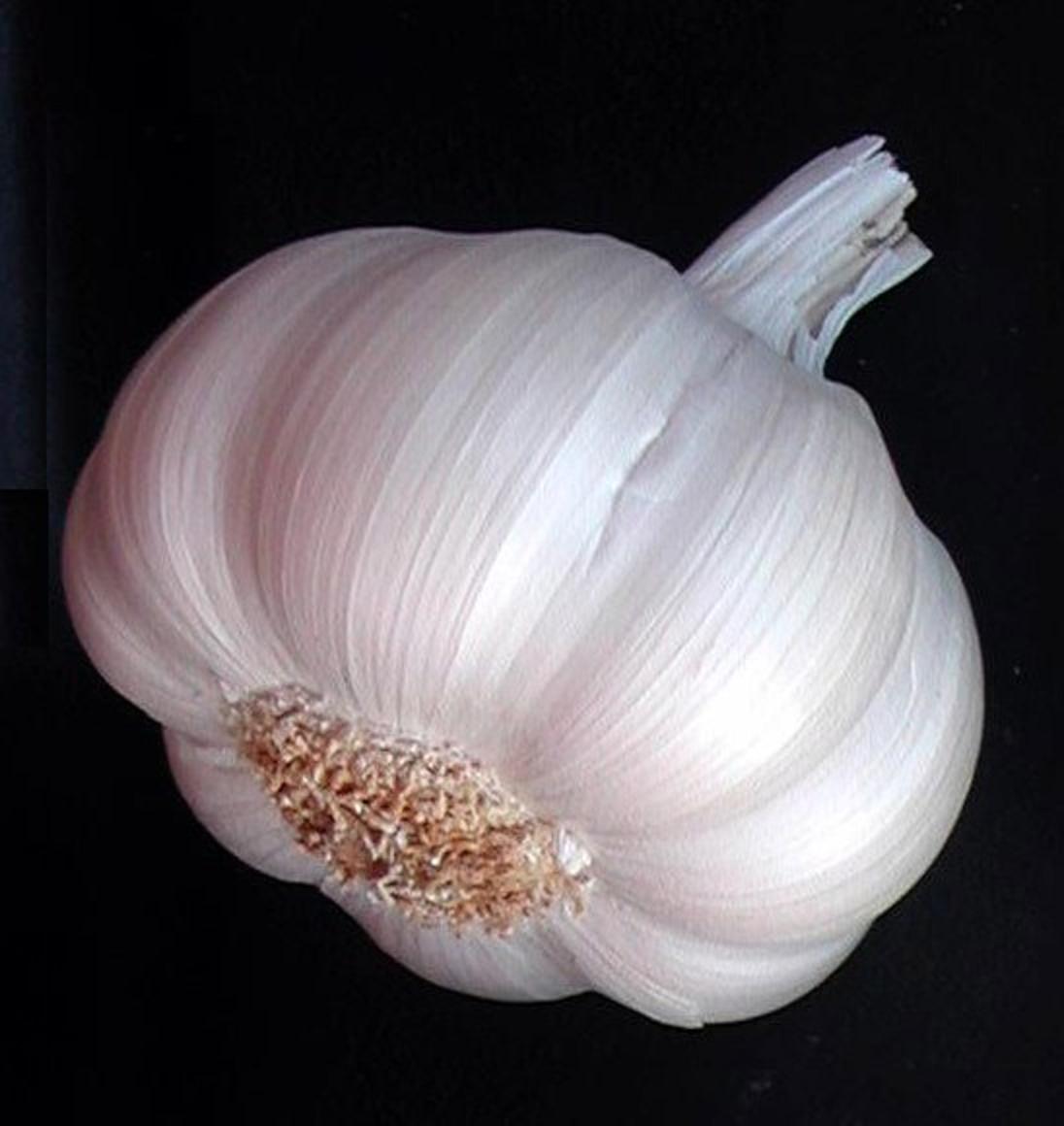 Garlic For Chronic Sinusitis Deviated Septum Information & Advice